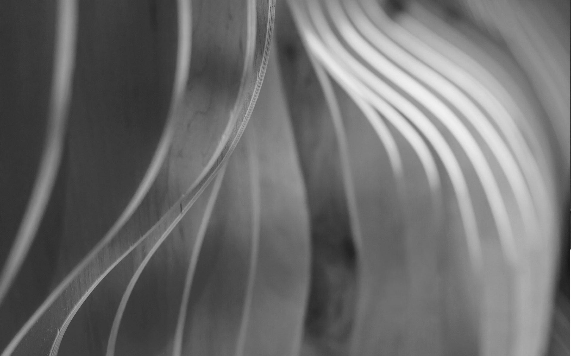 Interior Designer Mauritius : New Capricorn Services Ltd